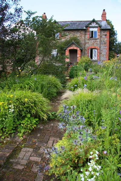 Beau Jardin Été Avec Des Plantes Vertes — Photo