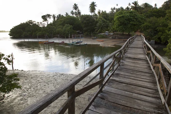 Fischerboote Strand Mit Tropischem Grün Festgemacht — Stockfoto