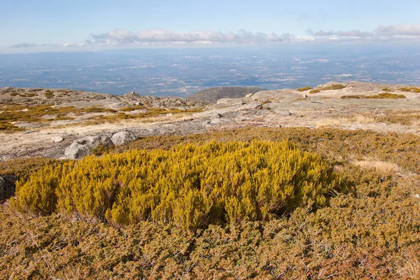 Bred Utsikt Med Buske Och Stenigt Landskap Från Toppen Berget — Stockfoto