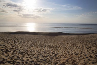 Güneşli sahilin güzel manzarası