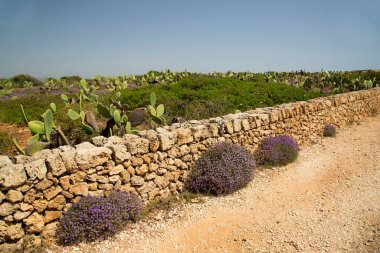 Doğanın güzel manzarası