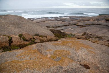 Deniz kıyısının güzel manzarası