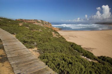 Sahilin güzel manzarası