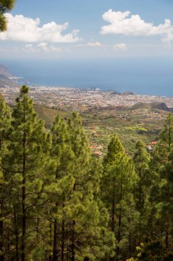Deniz ve kıyı kentinin güneş ışığının güzel manzarası