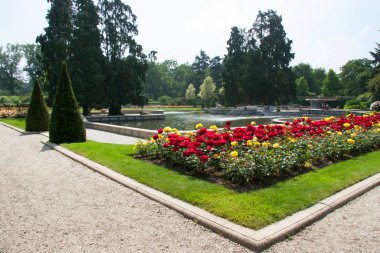 Havuzu ve yeşilliği olan güzel botanik bahçesi manzarası