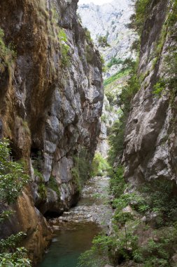 Dağ nehrinin güzel manzarası