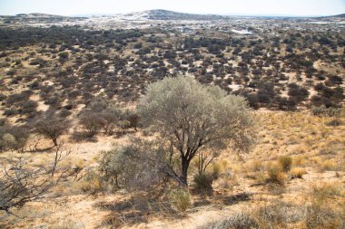 Çölün güzel manzarası