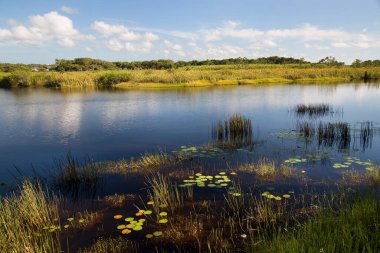 Arka planda nehir ve göl olan güzel bir manzara.