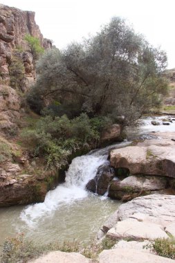 Güzel şelale ve kayalar