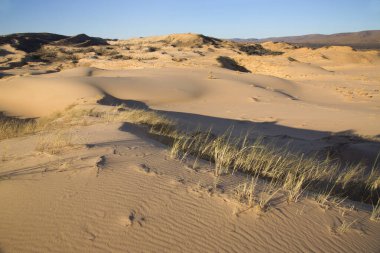 Çölün güzel manzarası