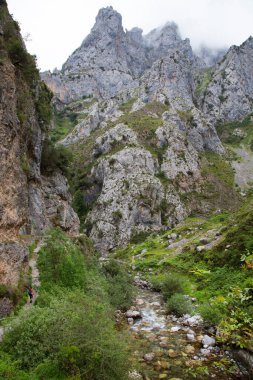 Dağ nehrinin güzel manzarası