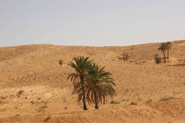 Çölün manzarası, Fas