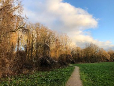 Ağaçları ve yolu olan güzel bir manzara.