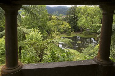 Parktaki eski taş köprü.