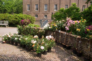 Yaz gününde tarihi yapı