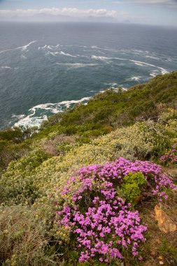 Kayalık kıyı şeridi ve okyanus manzarası 