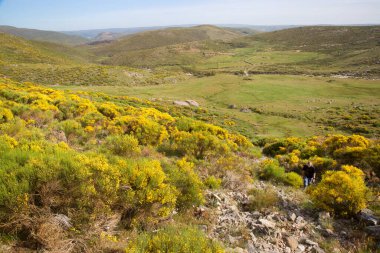 Dağların güzel manzarası. 