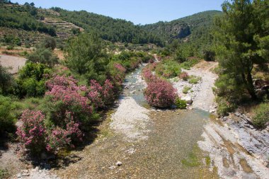Dağlarda küçük bir nehri olan güzel bir manzara.