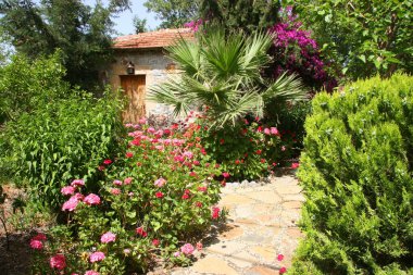 Kırmızı sardunyalar ve geleneksel taş evlerle dolu şehir bahçesi yolu.