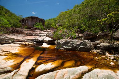 Tropikal yeşillik ve kayalık nehir manzarası