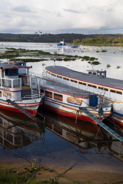 Yeşil tropik körfeze demirlemiş tekneler