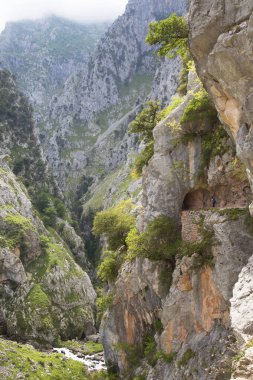 Dağların güzel manzarası