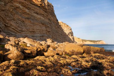 Dalgalı bir okyanusun kayalık kıyı şeridi ve manzarası 