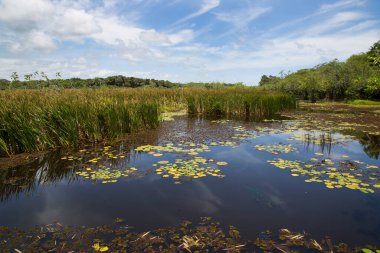 Nehrin güzel manzarası, gökyüzü ve arkadaki mavi bulutlar, dinlenme konsepti ya da