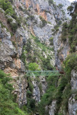 Dağlardaki köprünün manzarası