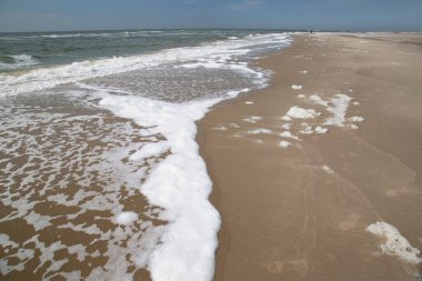 Güzel deniz kıyısı. doğa arkaplanı