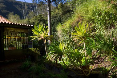 Dağlardaki güzel tropikal tatil köyü