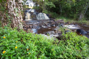 Tropikal ormanda akan kayalık nehir manzarası