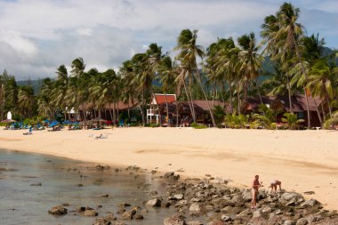 Sahilde palmiye ağaçları ve arkasında kum var.