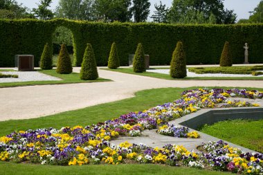 Parlak güneş ışığında çalıları olan güzel bir yaz parkı.