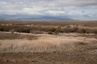 Güzel çöl manzarası