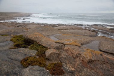 Deniz kıyısının güzel manzarası