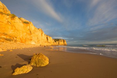 Kayalık kıyılar, kayalıklar ve kayalar denizlerde