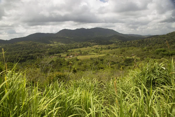 美しい山岳地帯の熱帯緑 — ストック写真