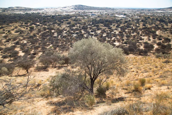 砂漠地帯の美しい風景 — ストック写真