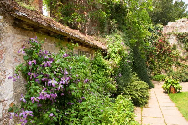 Ruines Antiques Entourées Verdure Luxuriante — Photo