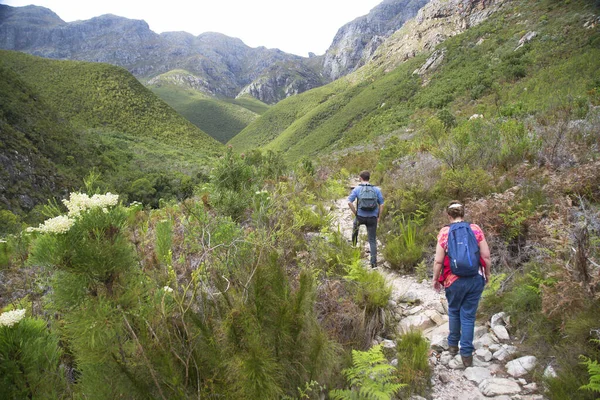 Turistas Irreconocibles Con Mochilas Las Montañas Concepto Caminata Las Montañas — Foto de Stock