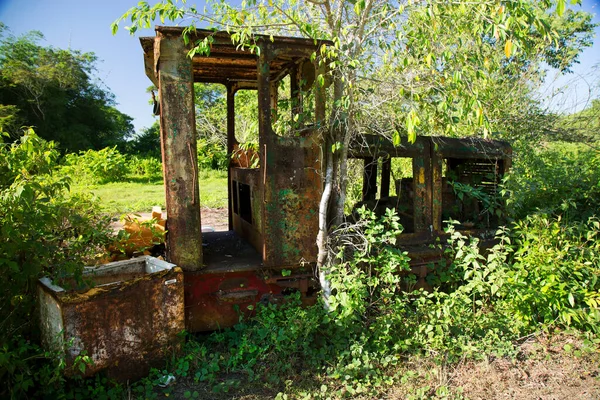 Старый Деревянный Дом Парке — стоковое фото