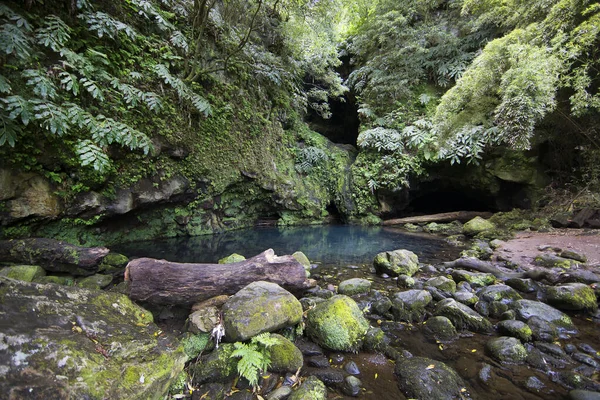 Prachtig Uitzicht Meertje Tropische Jungle — Stockfoto