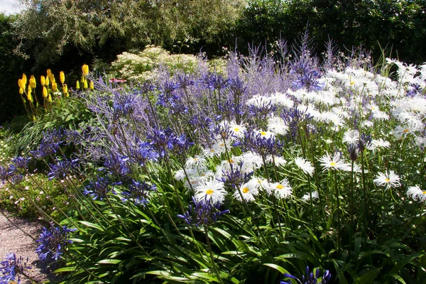 Yaz bahçesinde yetişen güzel çiçekler..