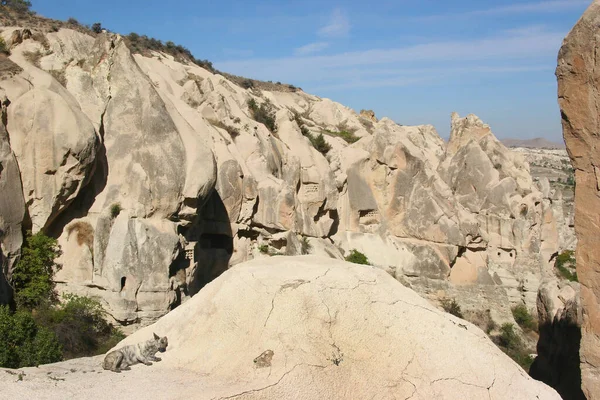 beautiful landscape of the valley in Cappadocia turkey