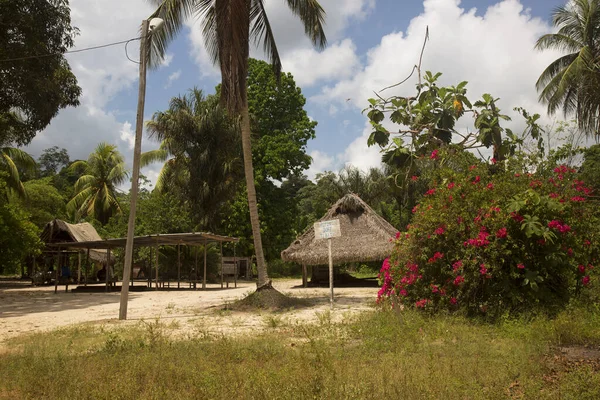 Palmiye Ağaçları Mavi Gökyüzü Olan Güzel Tropikal Plaj — Stok fotoğraf