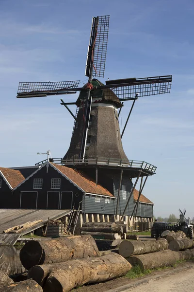 Molino Viento Histórico Todavía Funcionamiento Para Aserrar Troncos Árboles Que —  Fotos de Stock