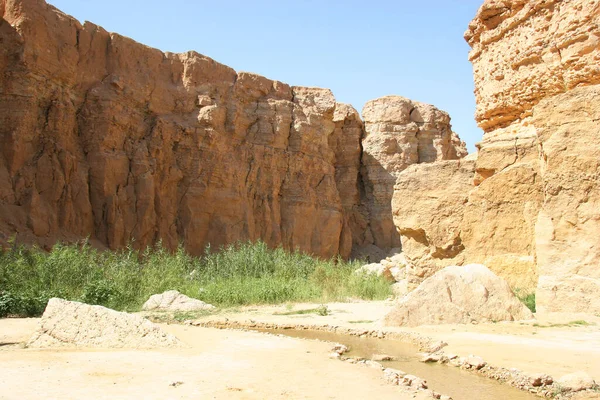 Bela Paisagem Deserto Negev — Fotografia de Stock