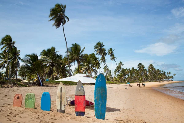 Belle Vue Sur Plage Tropicale — Photo