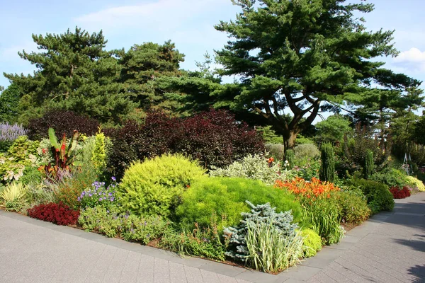 Parque Com Belas Flores Plantas — Fotografia de Stock